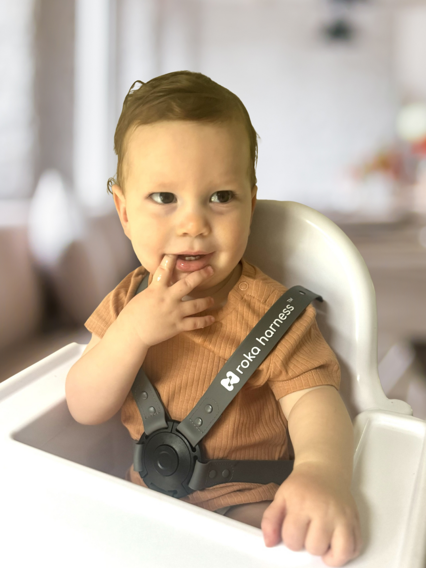 5 Point Roka Harness | Grey