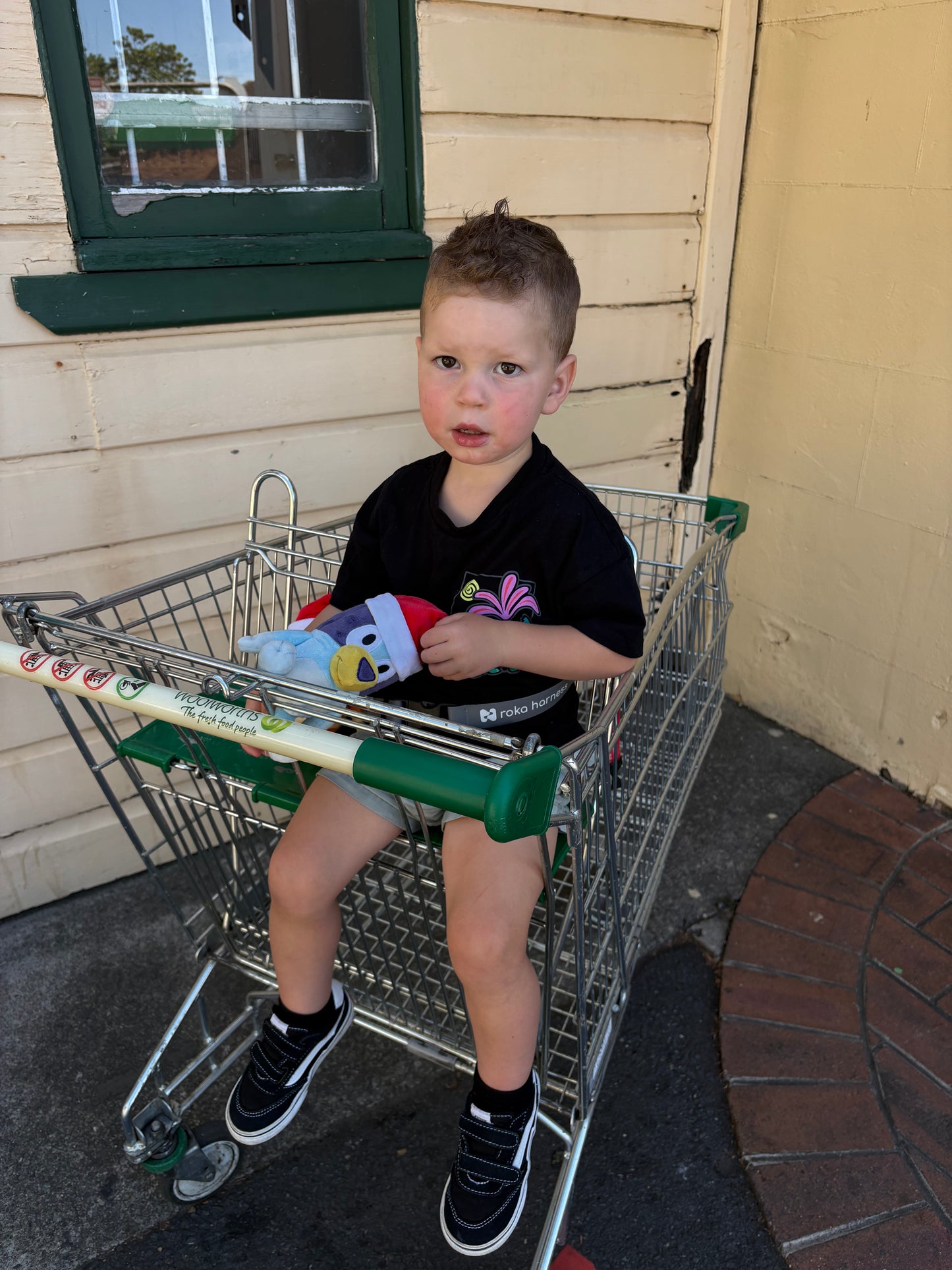 Silicone Shopping Cart Harness - 2 point Grey